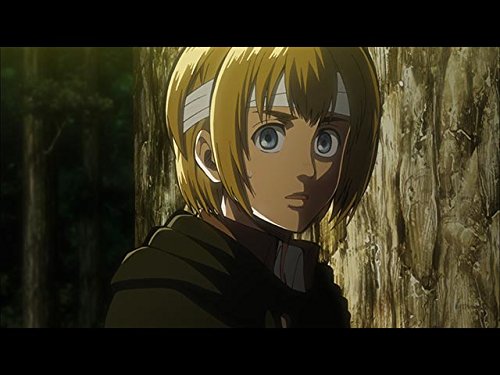 進撃の巨人 Season1 第20話「エルヴィン・スミス〜第57回壁外